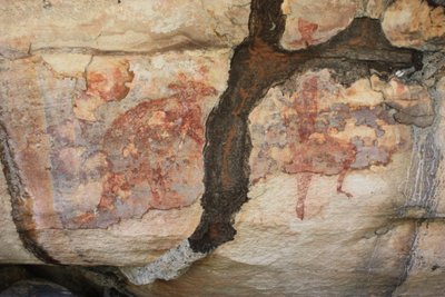 Túnel de termitas sobre canguro rojo y goanna de Unbekannt Unbekannt